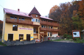 Гостиница Vila Transilvania  Таргу Секуиш